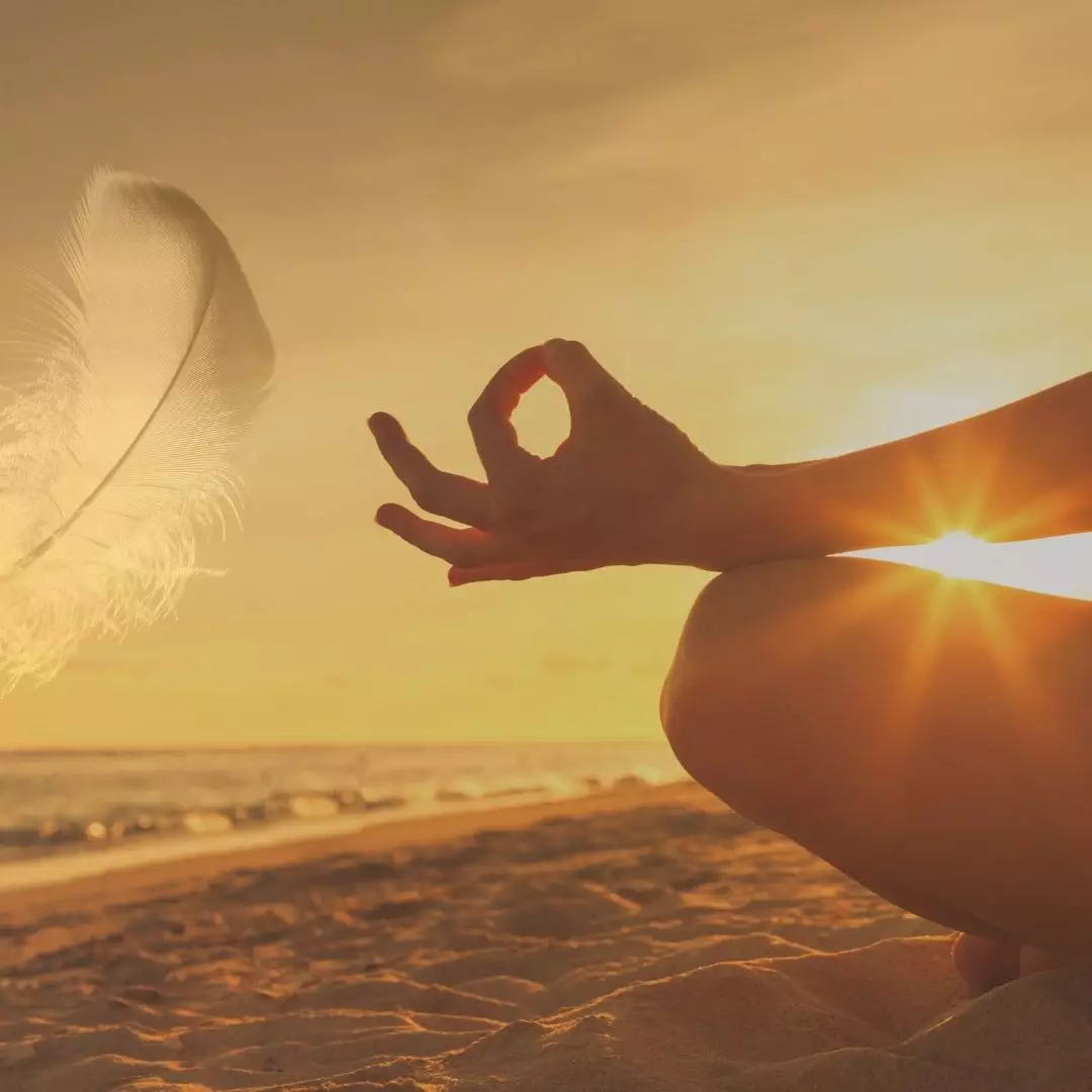 Nirushka Kollopen Freedom-Relax-Reframe