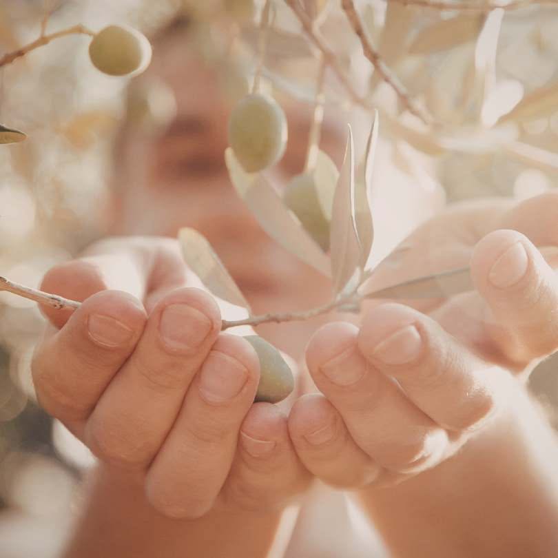 Finding Meaning in Everyday Life: Moving Beyond Goals to Deeper Purpose